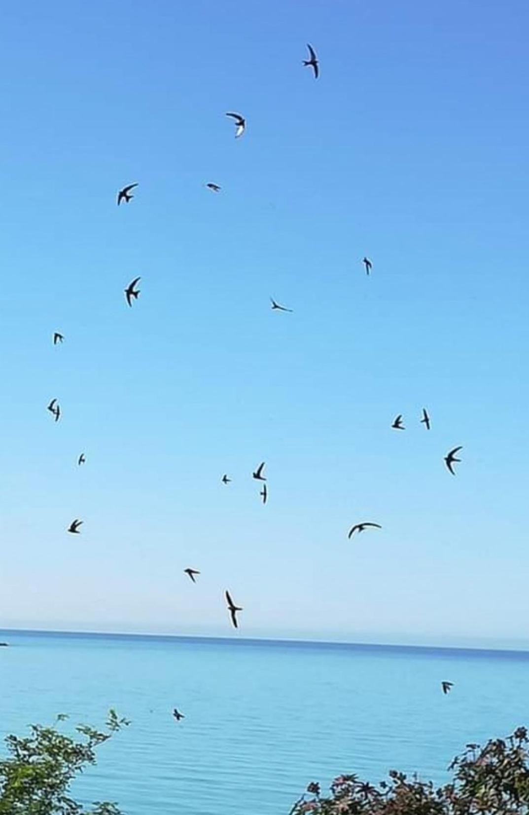 Mediterraneo Travel 杰拉 外观 照片